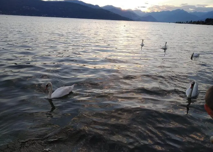 公寓 Maison Margu *